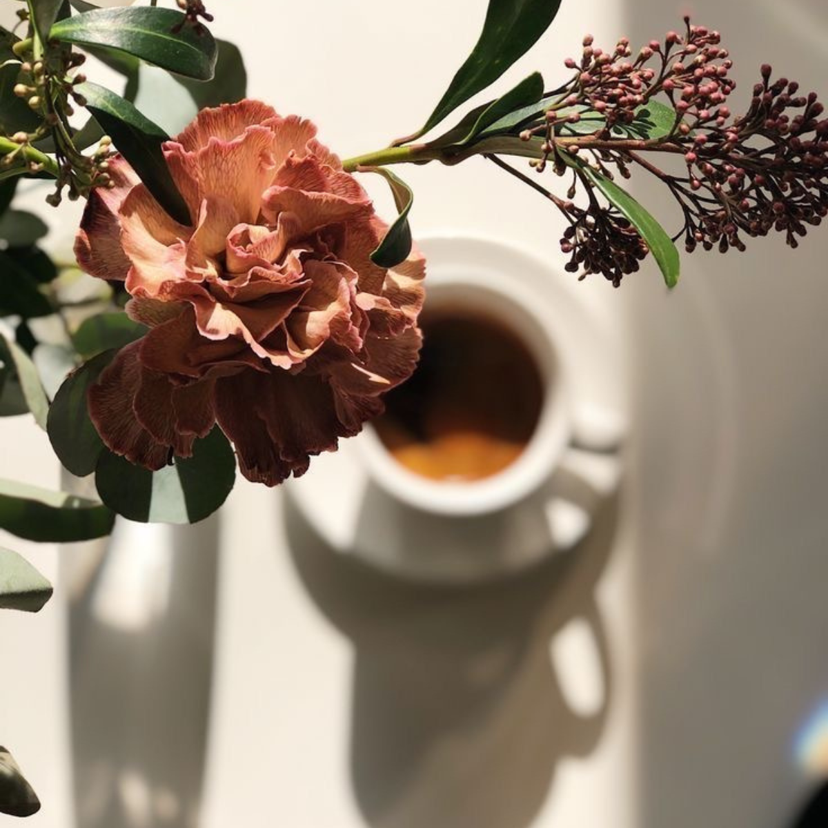 VOL9.香りと紅茶の贈りもの ― DARJEELING ギフトセットのある時間」