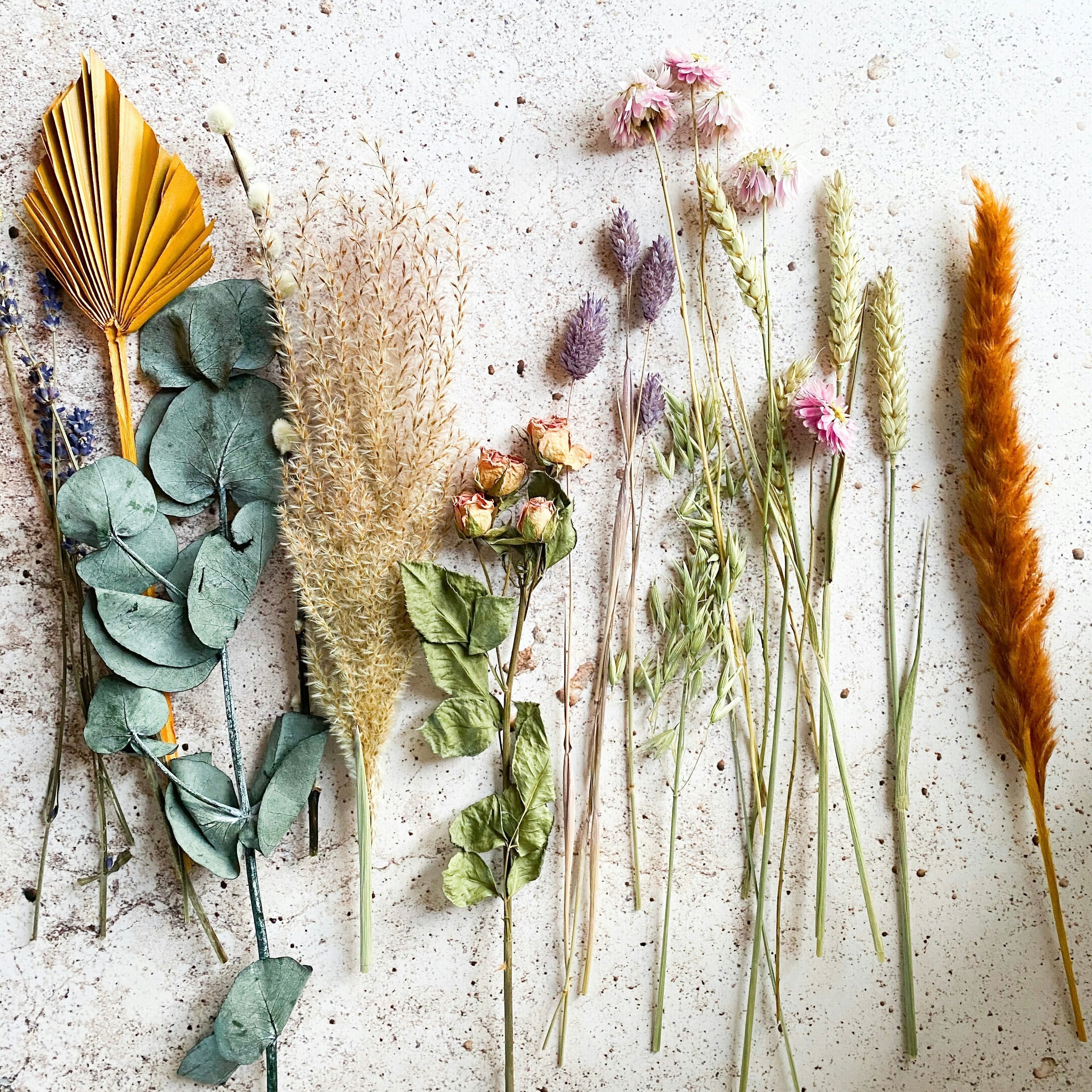 vol.1 香りの旅の始まり